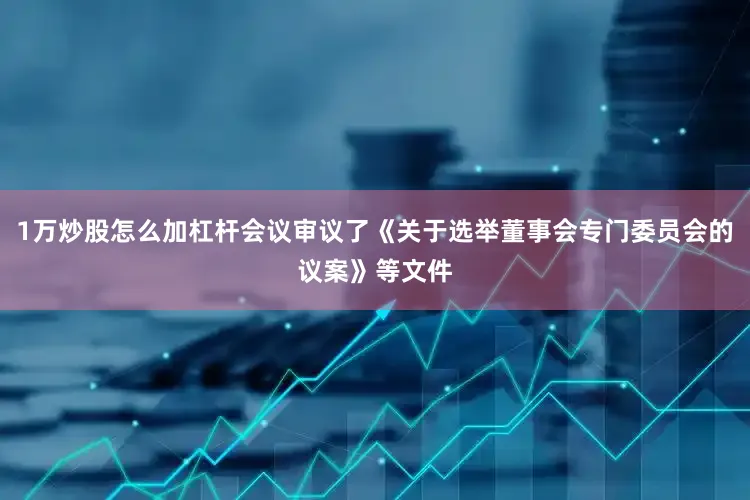 1万炒股怎么加杠杆会议审议了《关于选举董事会专门委员会的议案》等文件