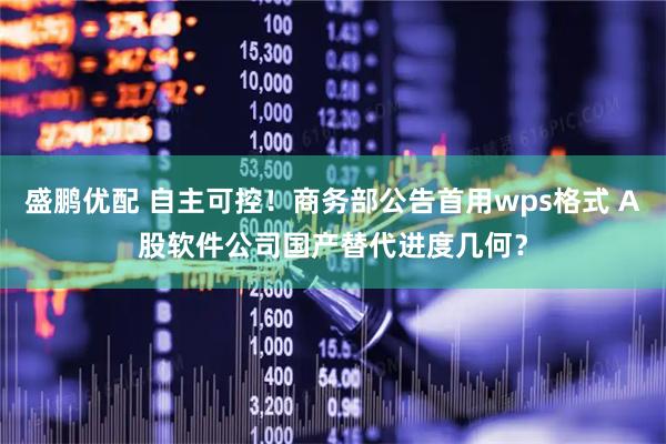 盛鹏优配 自主可控！商务部公告首用wps格式 A股软件公司国产替代进度几何？