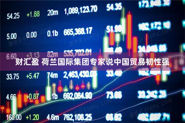 财汇盈 荷兰国际集团专家说中国贸易韧性强