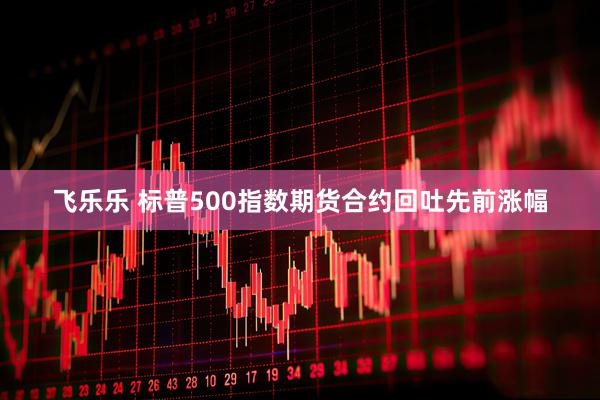 飞乐乐 标普500指数期货合约回吐先前涨幅