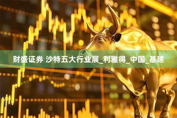财盛证券 沙特五大行业展_利雅得_中国_基建