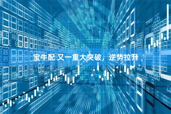 宝牛配 又一重大突破，逆势拉升